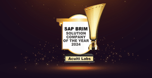 SAP BRIM Solution Company of the Year